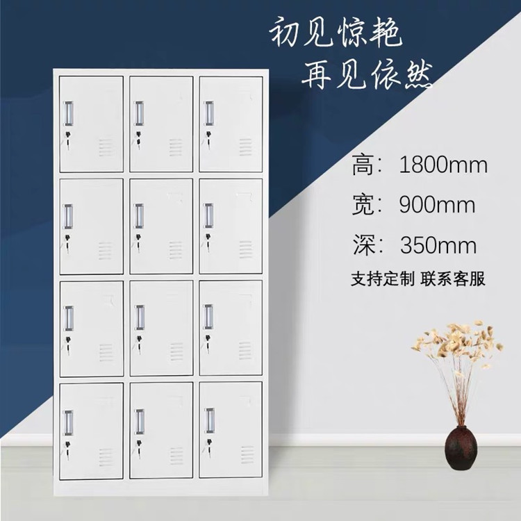 12门铁皮衣柜